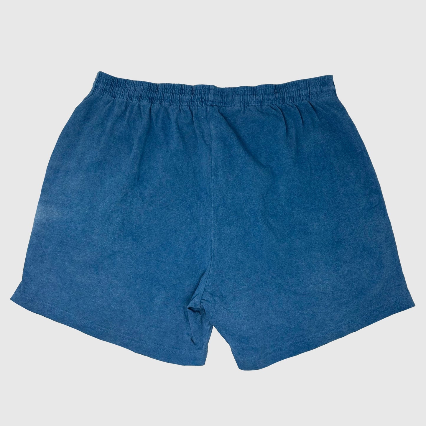 Indigo cat shorts (L)